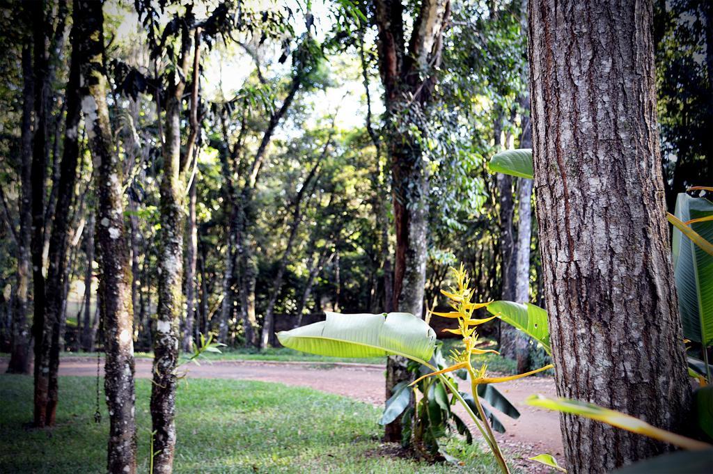 Cabanas Las Termas Villa Obera Bagian luar foto